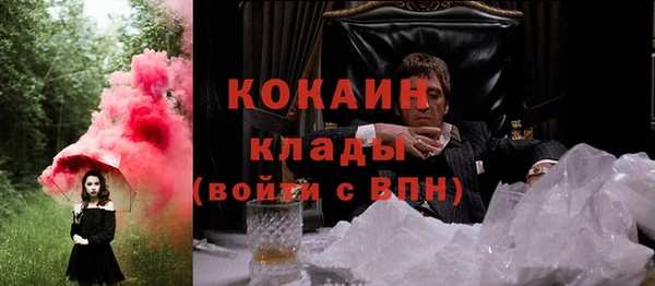 крисы Кукмор